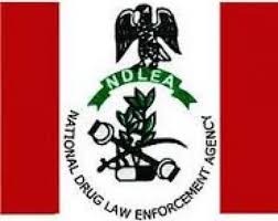 NDLEA, Ikorodu Cocaine Bust