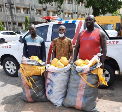 Police Operatives Bust Bus Load Of Illicit Drugs- Photos