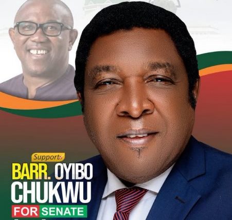 Oyibo Chukwu, Labour Party Senatorial Candidate Set Ablaze in Enugu [Video]