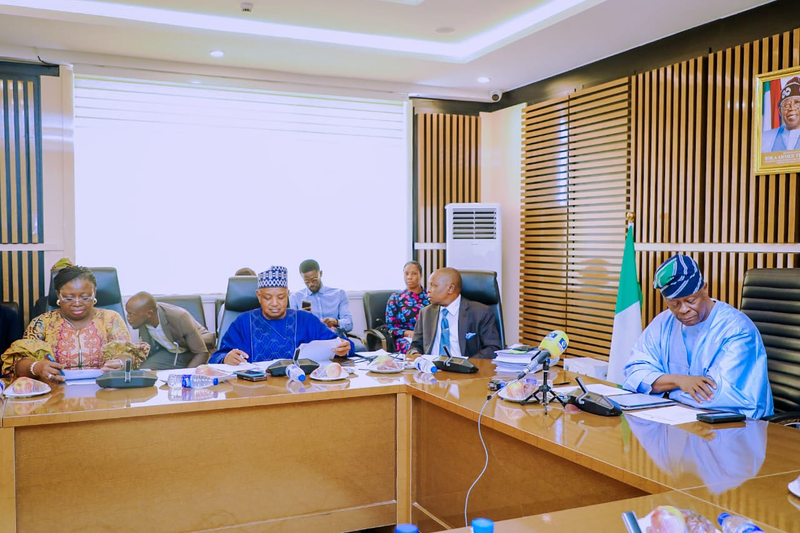 Breaking: Federal Government Establishes 10-Member Committee to Implement Supreme Court Ruling on Local Government Autonomy