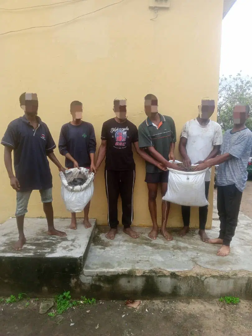 A’Ibom: Police Raid, Arrest Six Suspected Drug Dealers